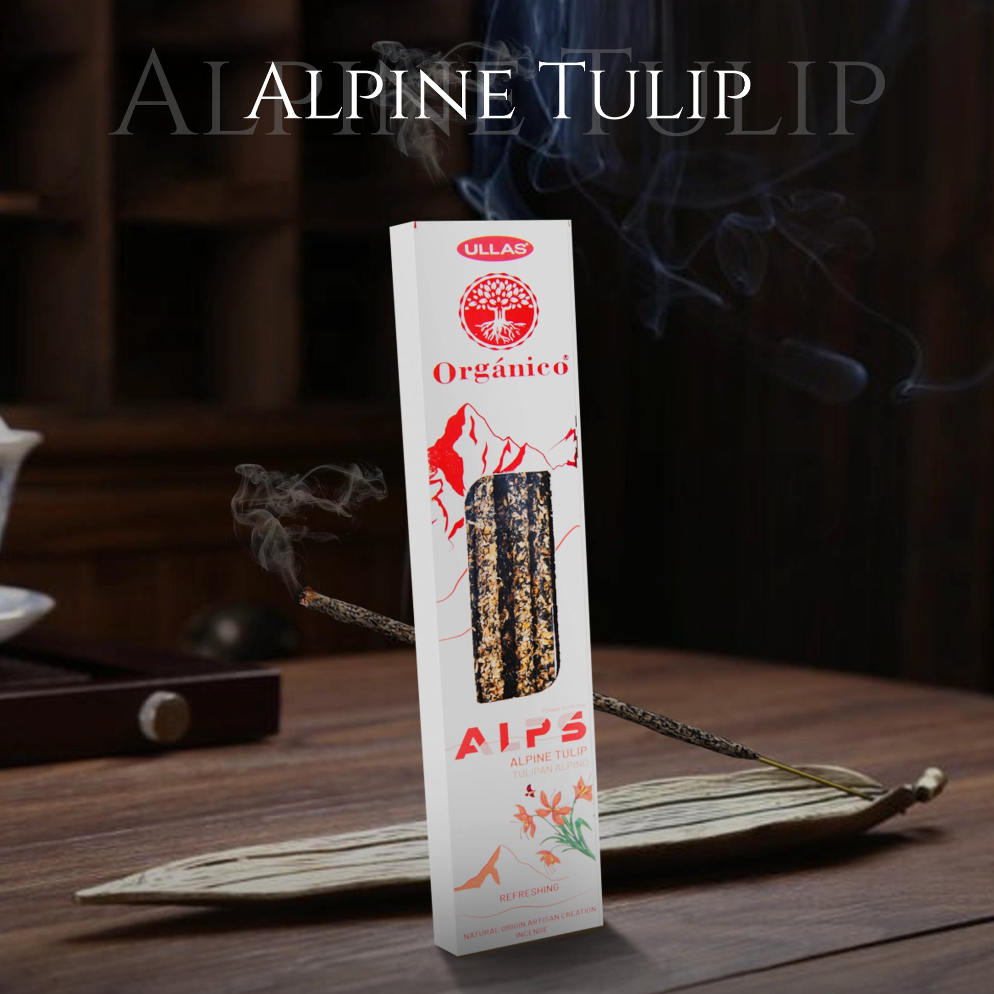 Alpine Tulip