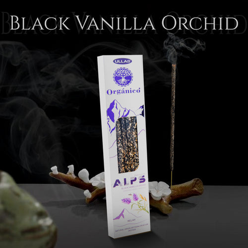 Black Vanilla Orchid