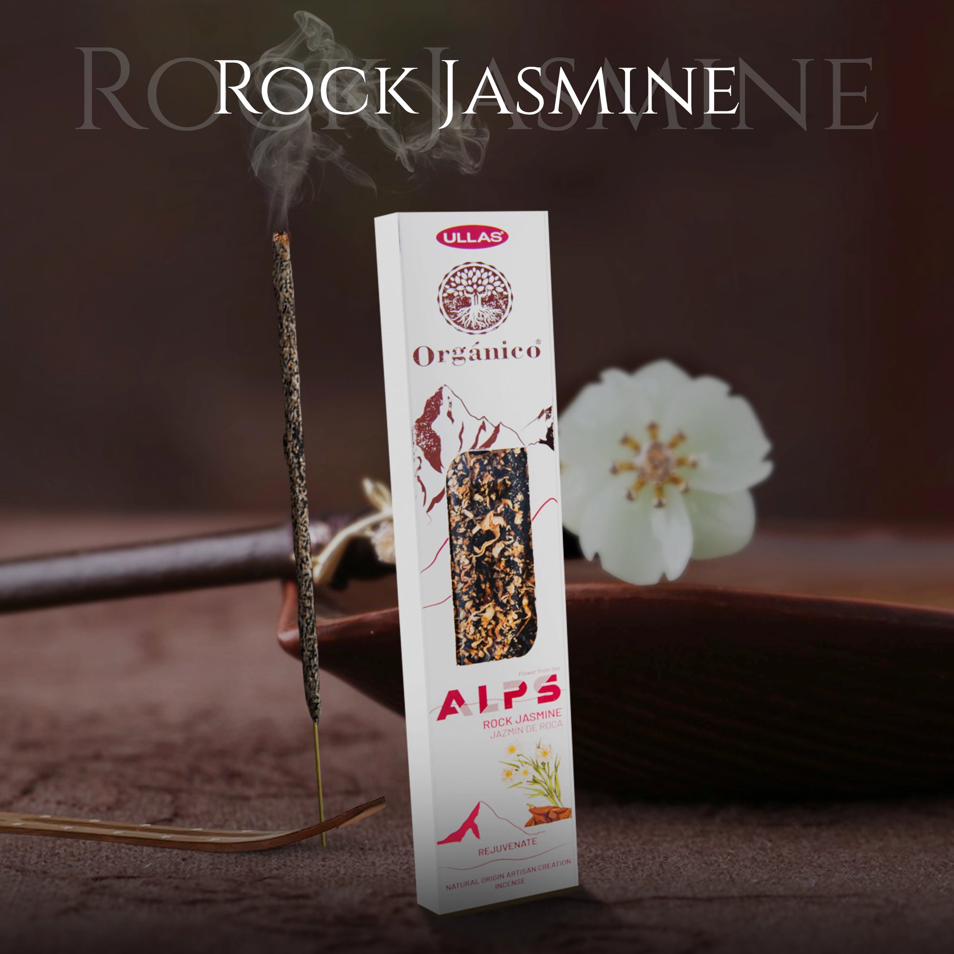 Rock Jasmine